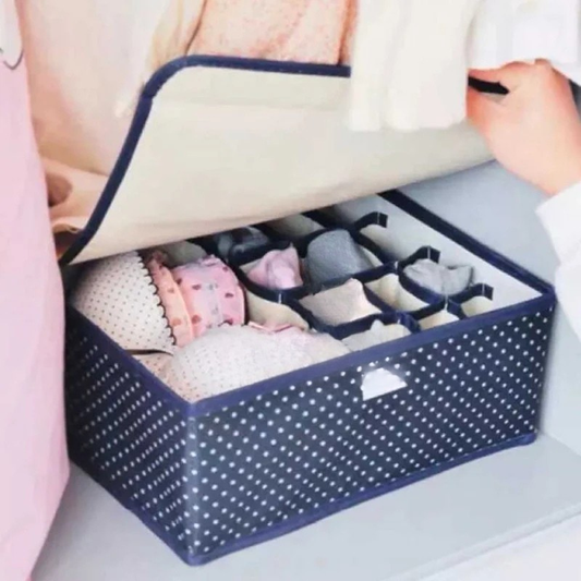 2 In 1 Undergarment Organizer Box